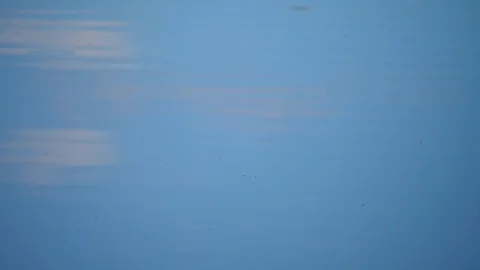 HD slow motion, raindrops beginning to fall on the blue calm surface of a lake Stock Footage 106932159