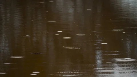 HD slow motion, raindrops beginning to fall on the brown calm surface of a lake Stock Footage 106932176