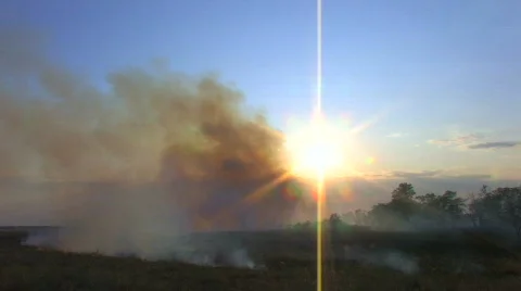 HD Smoke from burning grass at sunset Stock Footage 596875