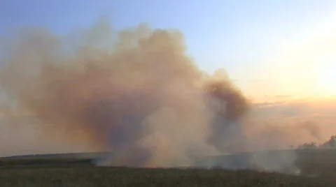 HD Smoke-screen from burning grass  Video stock 596874