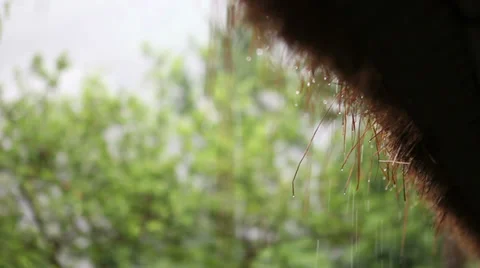 HD: Static shot of rain dripping from the roof. Stock Footage 38789032