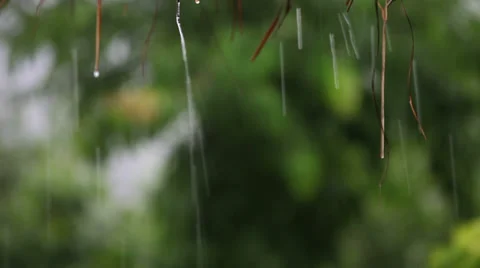 HD: Static shot of rain dripping from the roof. Stock Footage 38789122