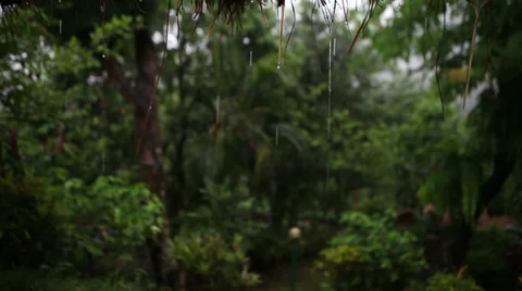 HD: Static shot of rain dropping from the roof. 스톡 동영상 38789047