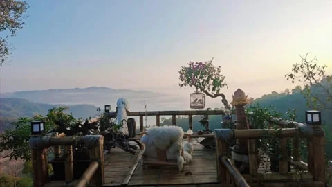 HD Static Shot of White Peacock on Bamboo Balcony Overlooking Sea of Clouds Stock Footage 328444364