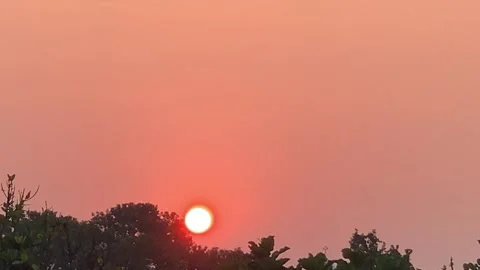 HD Static Sunset Above Tree Silhouettes in Jakarta Indonesia Stock Footage 339273398