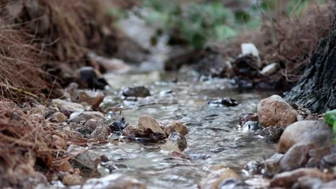 HD a stream of water that flows between the natural stones. Stock Footage 141646201
