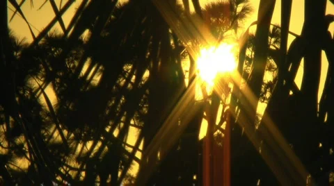 HD Sunset 021 (720p 29.97) Video stock 483576