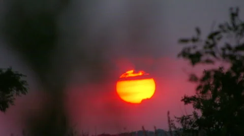 HD sunset red sun in a field on the background of the plant Stock-Footage 515800