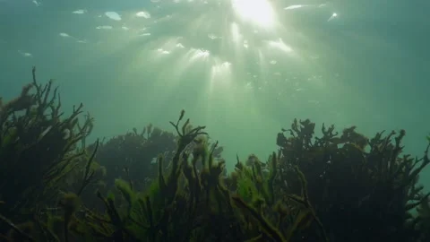HD sunset sunrays through the surface above a rocky reef, Wales 库存影片 188227084