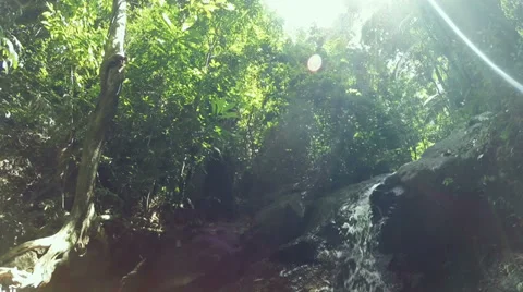 HD Tilt Down waterfall in deep forest, Phuket South of Thailand Video stock 39863135