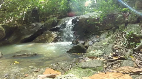 HD Tilt up Waterfall in deep forest 스톡 동영상 39861953