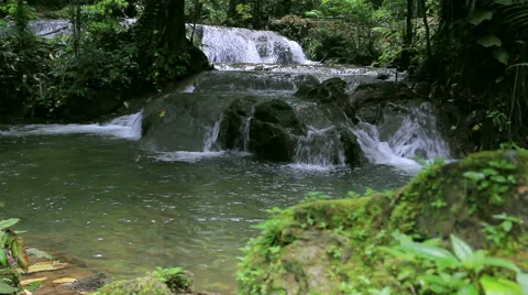 HD Tilt up waterfall in deep forest, South of Thailand Video stock 40427270