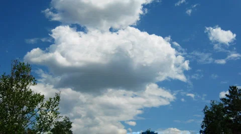 HD Time lapse of blue sky with cumulus clouds and trees Video stock 909664