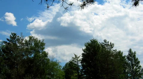 HD Time lapse of blue sky with cumulus clouds and trees Video stock 909679