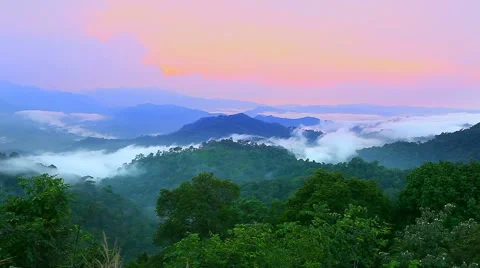 HD: Time lapse, Dramatic clouds with mountain and tree,1920x1080 Stock Footage 48526568