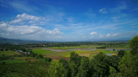 HD Time Lapse Rice Field blue sky wide Stock Footage 39787443