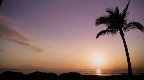 HD Time-Lapse Tropical Beach Sunset With Palm Tree Stock Footage