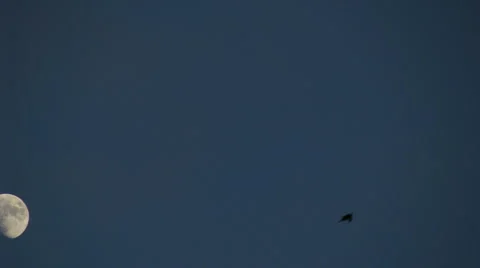 HD Timelapse of the moon moving around sky Vidéo 914431