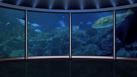 HD TV Virtual Studio Green Screen Background  Aquarium Stock Footage 73437413