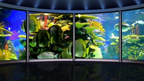 HD TV Virtual Studio Green Screen Background  Aquarium Stock Footage 73437795