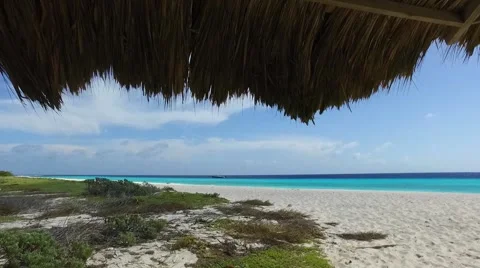 HD underneath palm tree hut on Caribbean island, Klein Curacao Stock-Footage 67367653