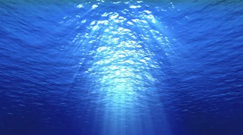 HD - Underwater scene Video stock 10858480