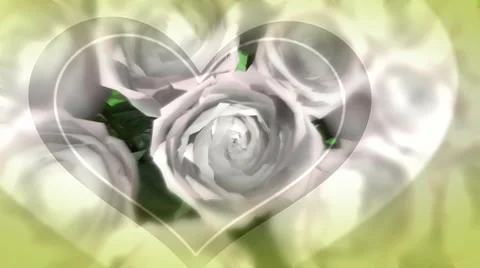 HD Valentines Day or Wedding Roses Background Video stock 1055875