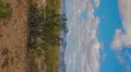 HD Vertical 30p Spring in Arizona high desert with puffy clouds in timelapse Video HD