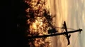 HD Vertical wide Pre-dusk telephone pole silhouette timelapse HD Footage