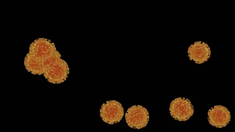 HD Video Animation Of 3D Rendering Abstract Coronavirus 2019-nCov. Stock Footage 136565129
