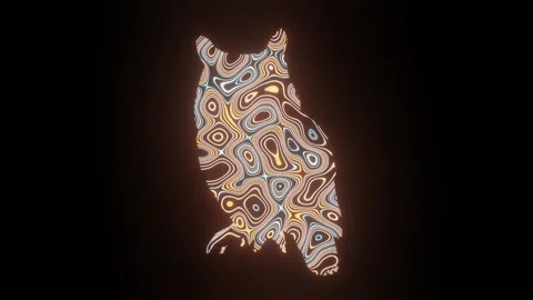 HD video of beautiful texture or pattern formation on the owl. Stock Footage 139145561