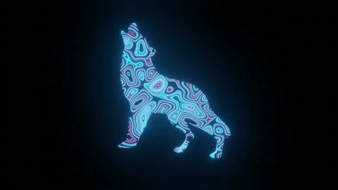 HD video of beautiful texture or pattern formation on the wolf body shape. Stock Footage 141200733