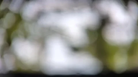 HD video Blur Background Stock Footage 240942496