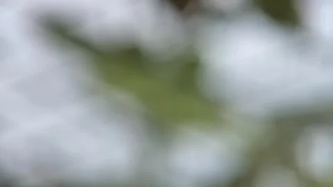 HD video Blur Background Stock Footage 240942497
