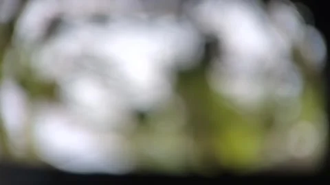 HD video Blur Background Stock Footage 240942498