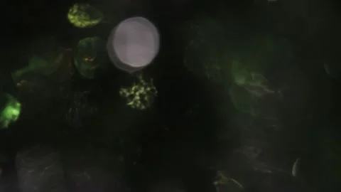 HD video with multi-colored sparkling crystal background 스톡 동영상 317538562