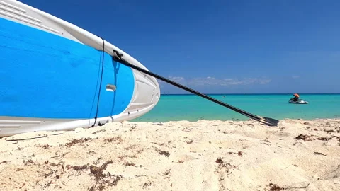 HD video of a paddle board on the beach Stock Footage 240113528