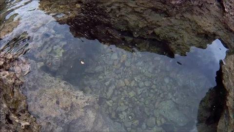 HD VIDEO SCHOOL OF FISH AT THE SEASHORE II Video stock 91282015
