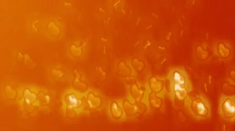 HD VJ Rising Hearts HD 1280x720 30fps 6sec Apple Jpeg Free clip Stock Footage