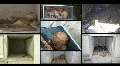 HD Voodoo Collage black bg HD Footage