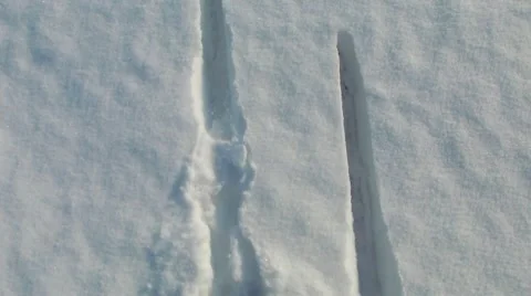 HD: Walking With Skis In Deep Snow Stock Footage 10384314