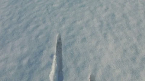 HD: Walking With Skis Stock Footage 10383726