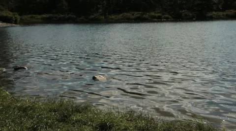 HD Water 13 Stock Footage 10593738