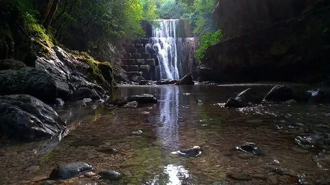 HD waterfall in a green forest Stock Footage 115182827