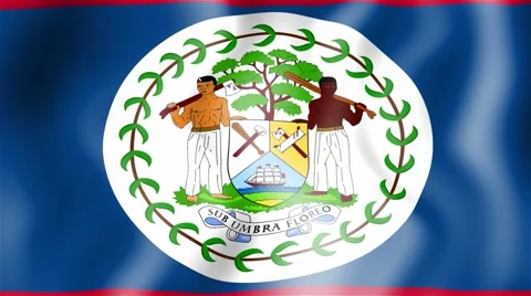 HD Waving flag - Belize Video stock 44908633