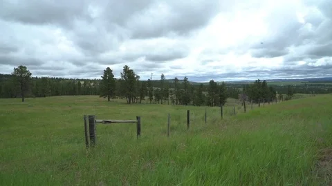 HD | Western Field Landscape Stock Footage 78004224
