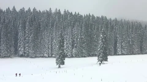 HD: Winter Hiking Stock Footage 10288286