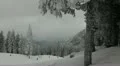 HD Winter Landscape, Beautiful Mountains in Cold Season, Fir Tree Forest HD Footage