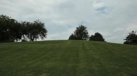 HD Woods 01 Stock Footage 10593891