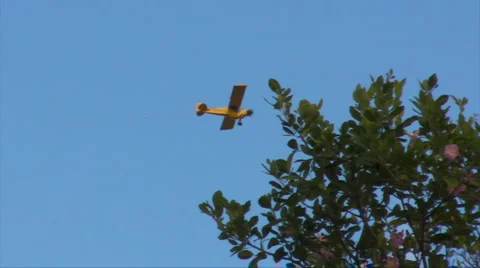 HD Yellow Advertising Plane Stock Footage 1042160